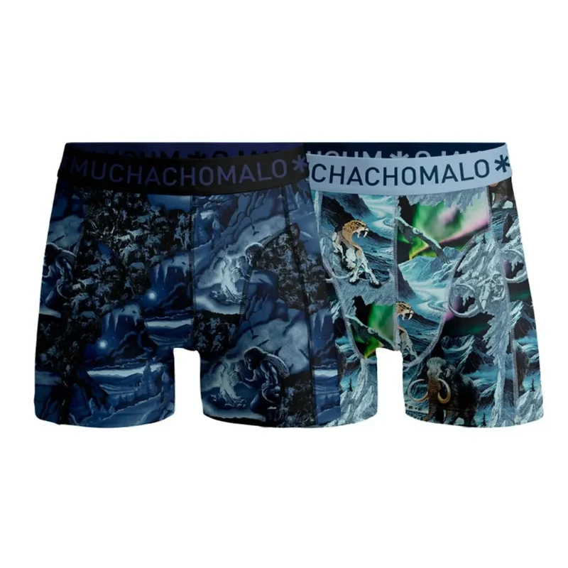 Men 2/Pack Boxer Prehistory PREHISTORY1010