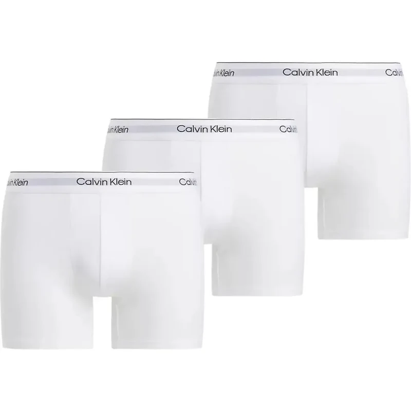 Boxer Brief Icon 3-Pack LV00NB4394
