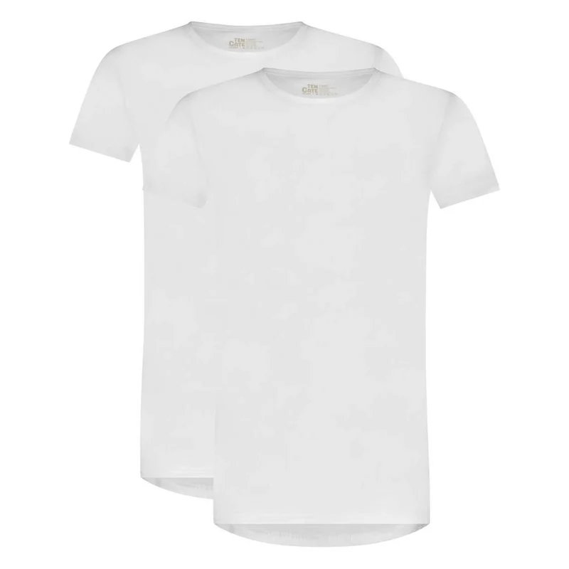 Basics men T-shirt 2 pack 32300