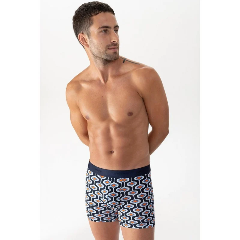 Trunk Shorts 37384