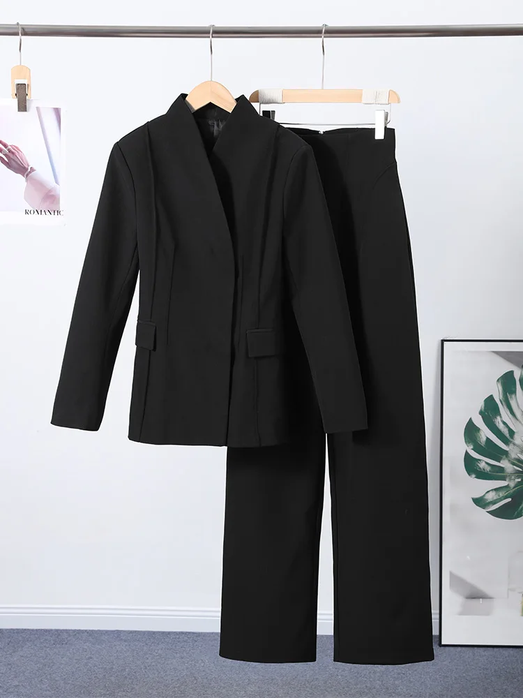Vrouwen Blazer Broek Set V-hals Lange Mouwen