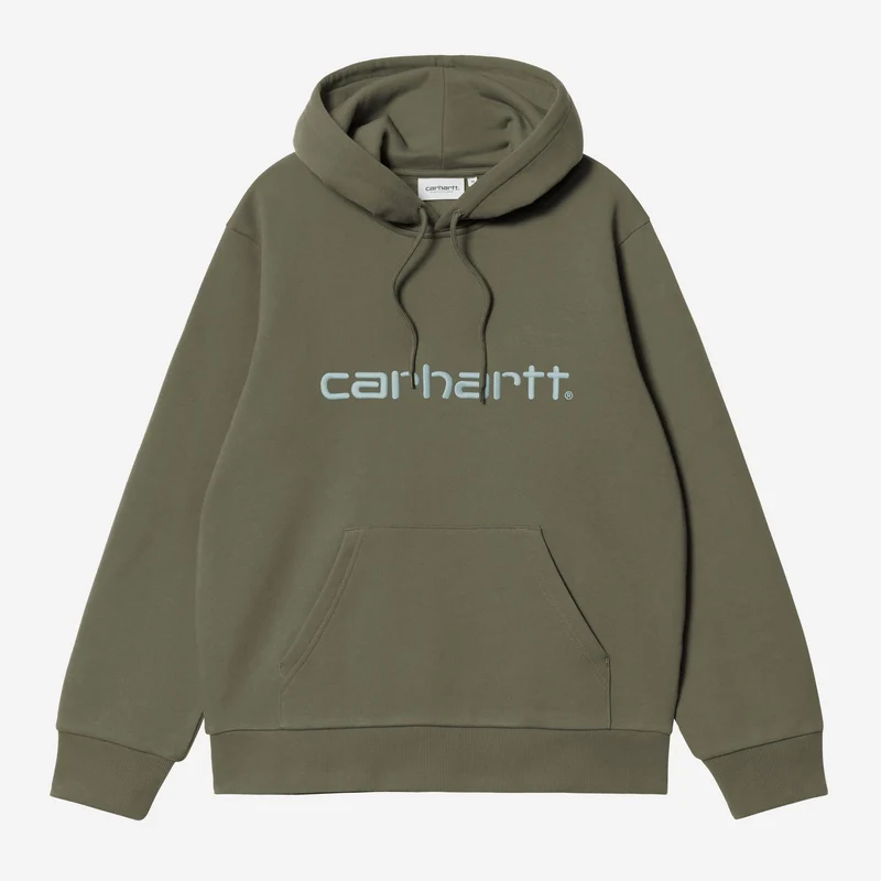 Carhartt WIP Heren capuchon Carhartt Sweatshirt | Blad Toermalijn