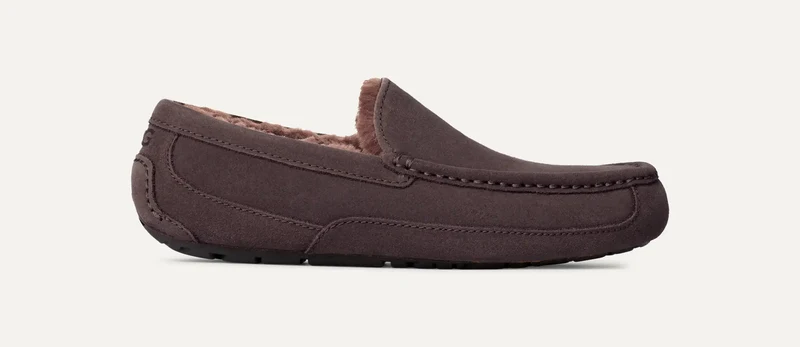 UGG Heren Ascot pantoffel | Dusted Cocoa