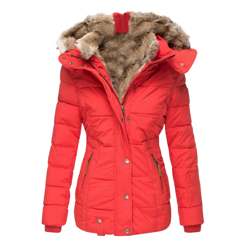 Dames Winterjas Gevoerd met Pluche Voering