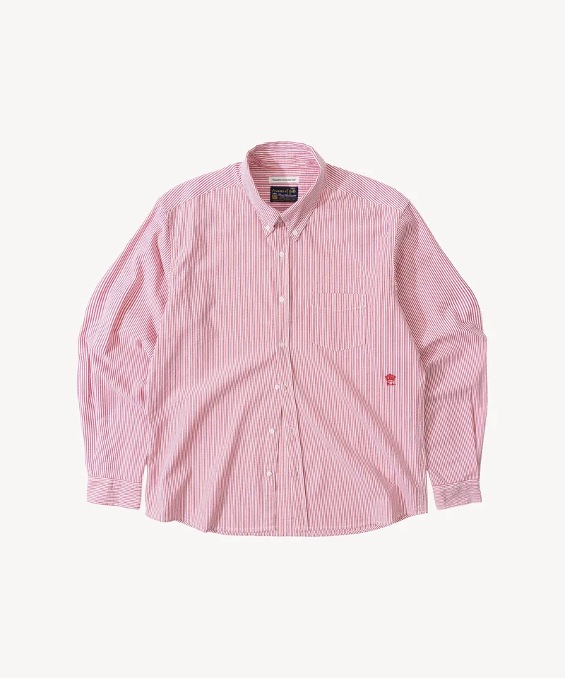 THE BUTTON DOWN SHIRT