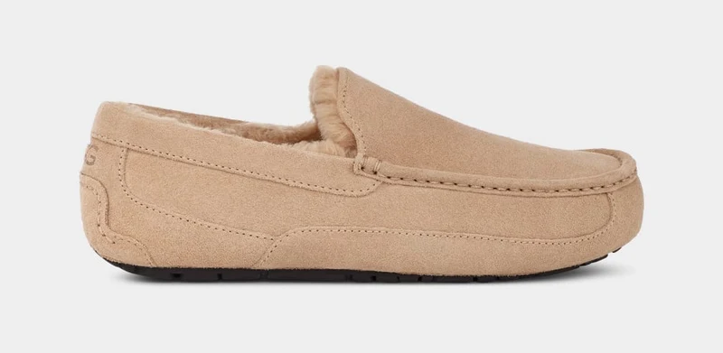 UGG Heren Ascot pantoffel | Zand