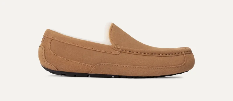UGG Heren Ascot pantoffel | Kastanje