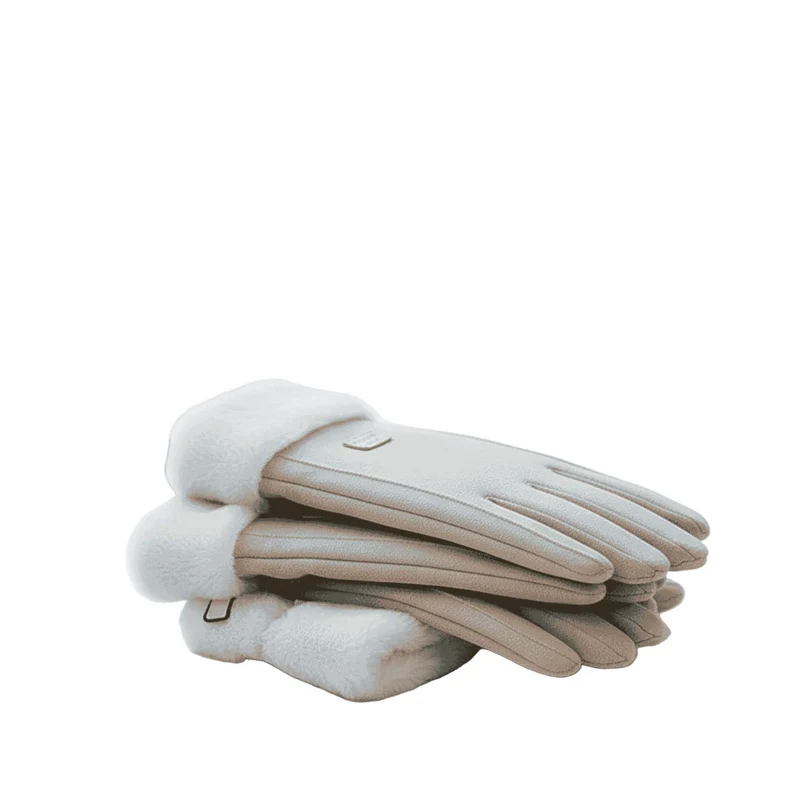 Dikke Touchscreenhandschoenen voor Koude Dagen